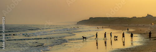 Sunset at the beach with a family and dog