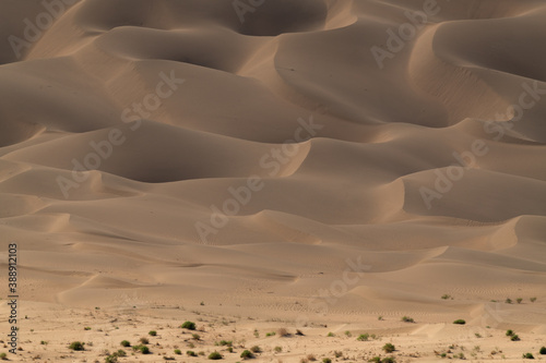 Desert landscape photography pictures