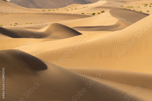 Desert landscape photography picture