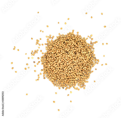 Top view of Organic Dried coriander seeds (Coriandrum sativum) isolated on white background.