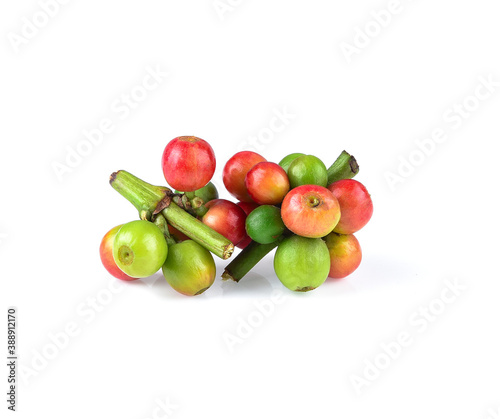 Red coffee beans , ripe and unripe berries isolated on white background
