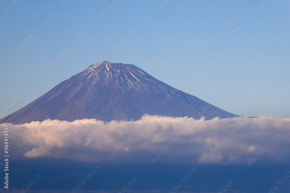 Fototapeta premium 三保の松原からの富士山