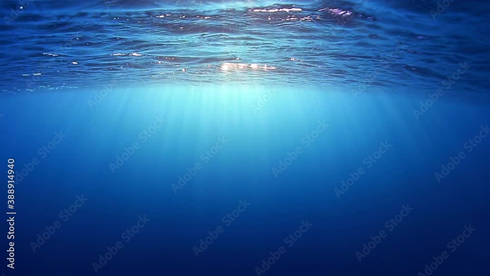 Underwater view of the sea waves Underwater view of the sea waves