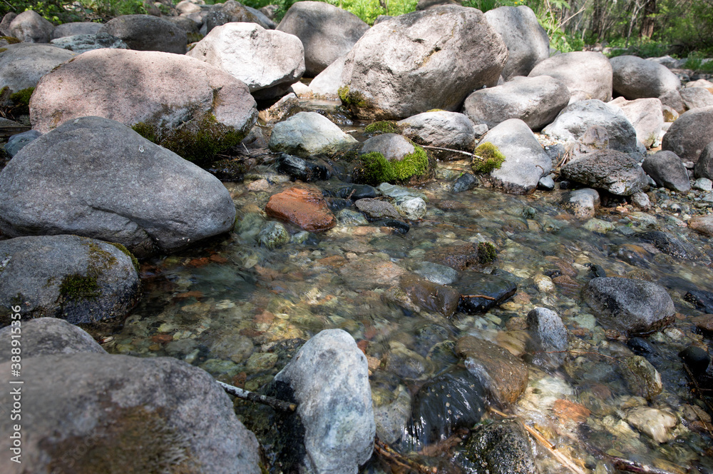 Stream flowing in the mountains outdoors in summer