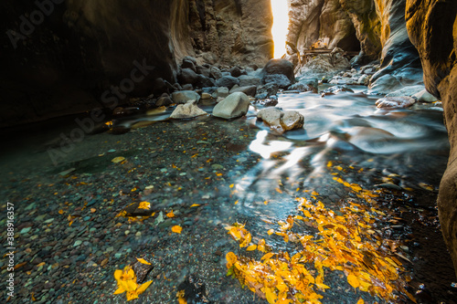 The Clear Waters of Canyon Creek Running Through Box Canyon, Ouray, Colorado, USA