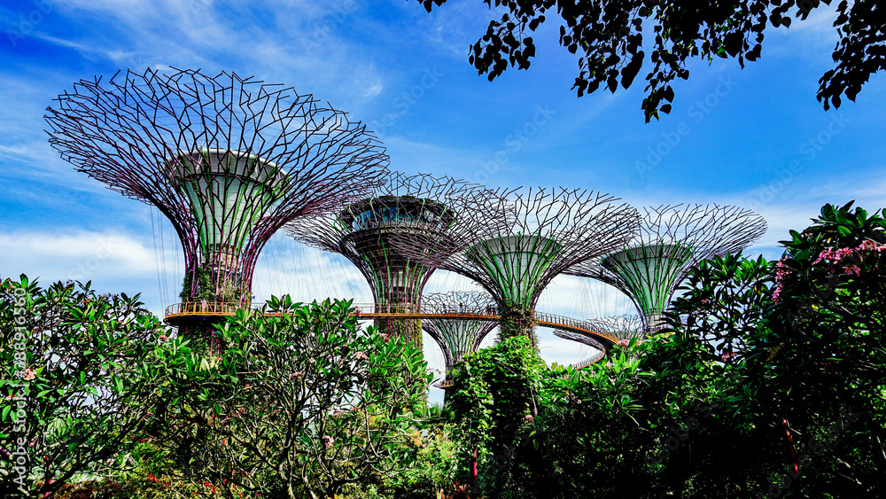 Fototapeta premium Singapore's artificial tree park scenery