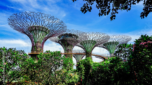Singapore's artificial tree park scenery