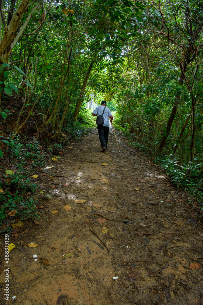 camino 