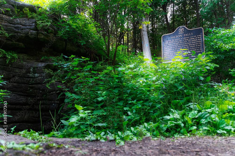 Obraz premium An informational sign in the Hilton Falls Conservation Area near Milton, Ontario stands amid some bushes near the waterfall.