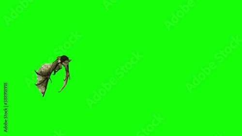 3d animation of a large Bat flying on a green background