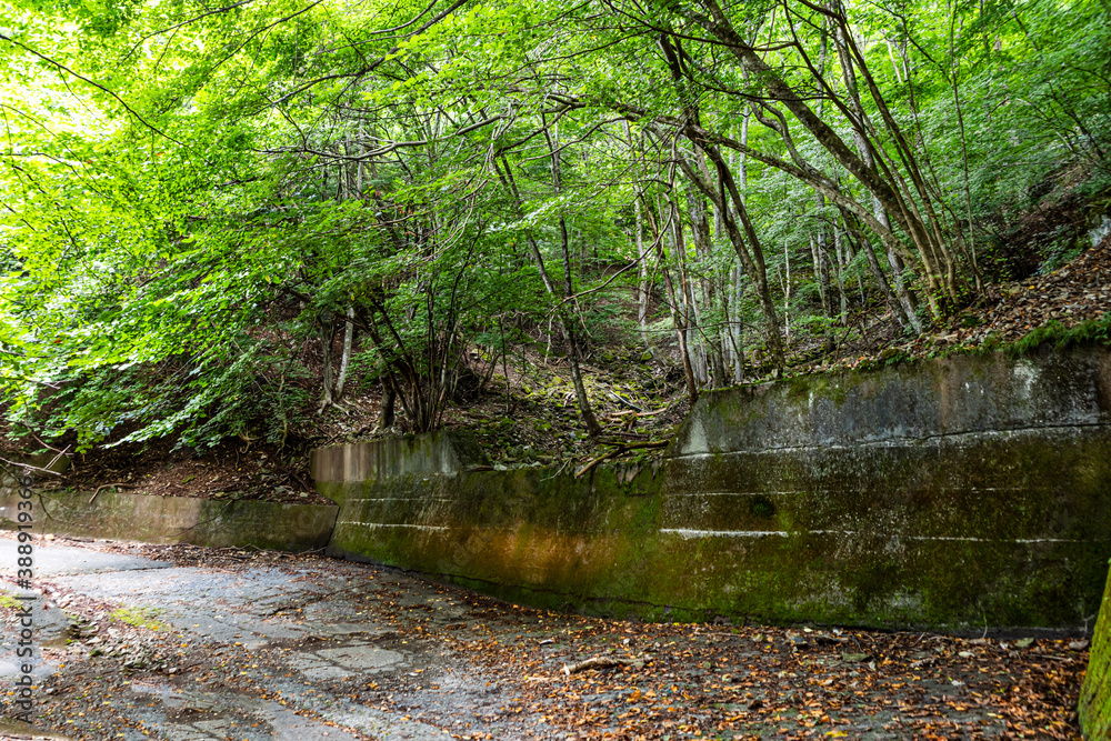 【ドライブイメージ】山奥の林道
