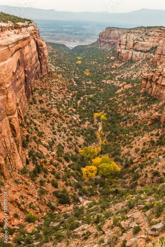 Fall Color In The Bottom of Red Canyon, Colorado National Monument, Colorado, USA