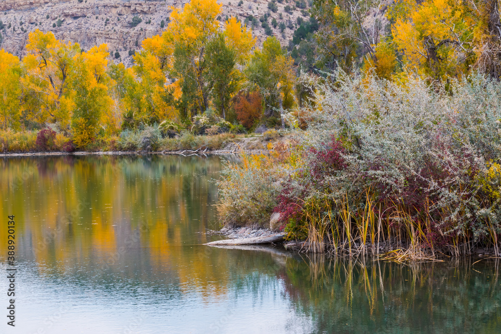 Fall Color Reflection in The Waters of Billy Creek, Billy Creek State Wildlife Area, Colorado, USA Fall Color Reflection in The Waters of Billy Creek, Billy Creek State Wildlife Area, Colorado, USA