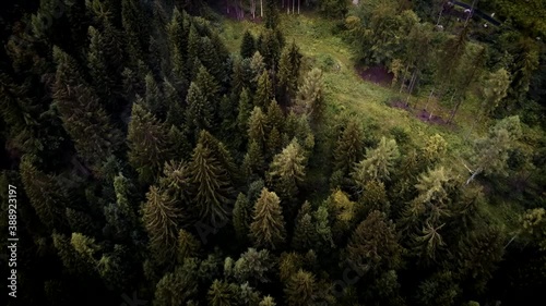 Aerial shot above a cloduy and hazy mountain forest. Time is stretched: speed up and slowed again. The mist sorrounds the drone with a mystical and horror atmosphere while fly above this natural view. photo