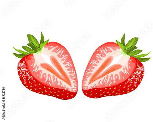 Strawberry sliced close up hand drawing vector illustration on white background