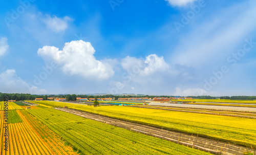Farmland under blue sky and white clouds © 昊 周