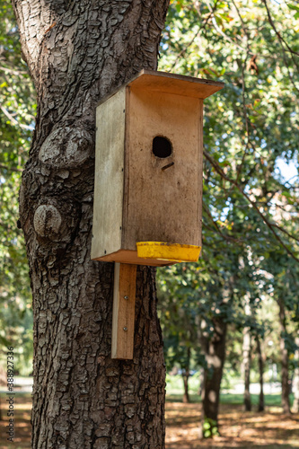 Birdhouse feeder on a tree Park day