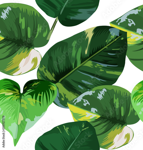 Foliage Seamless Pattern2