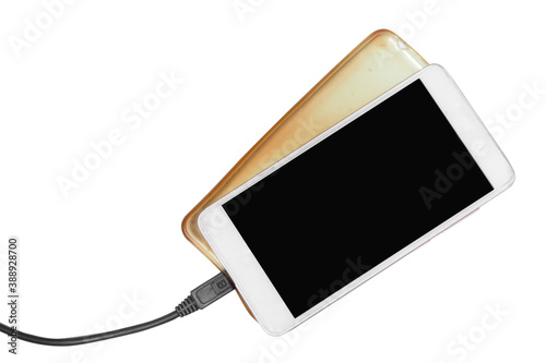 Smartphone with the case removed and the USB cord included. The view from the top. Theme of phone repair and maintenance.