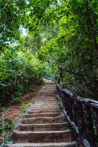 footpath stairs in forest.
