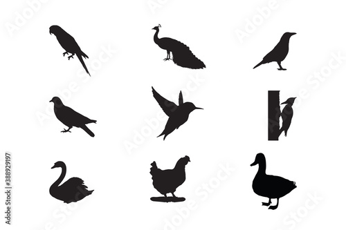 Set of birds vector silhouette