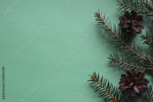 christmas background with fir branches and cones