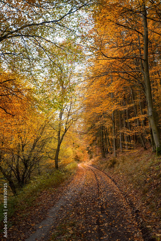 Herbst