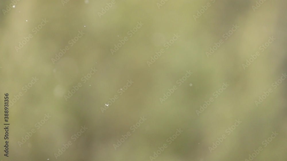 Smoothly moving snow clumps with beautiful bokeh Smoothly moving snow clumps with beautiful bokeh