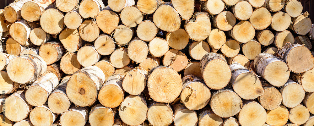 The logs are sawed from the trunks of birch stacked in a pile The logs are sawed from the trunks of birch stacked in a pile