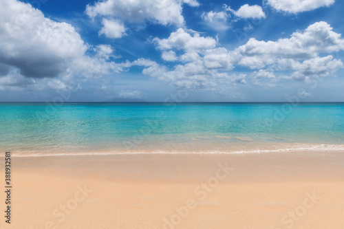 Tropical Caribbean beach with warm sand and turquoise sea in paradise island. Tropical beach background. © lucky-photo