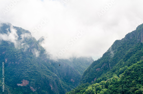 Foggy mountain views in the morning