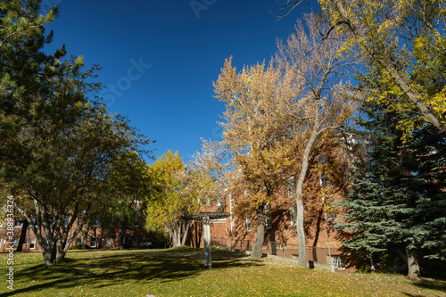 Beautiful fall color around the campus of Northern Arizona University photo