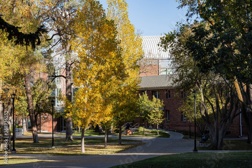 Beautiful fall color around the campus of Northern Arizona University