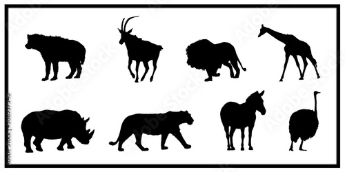 Animal symbols on white background  zoo