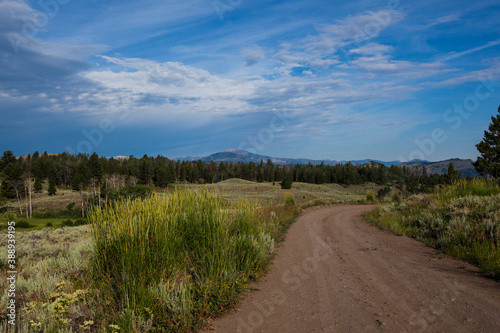 View of Electric Peak from Blacktail Plateau Drive