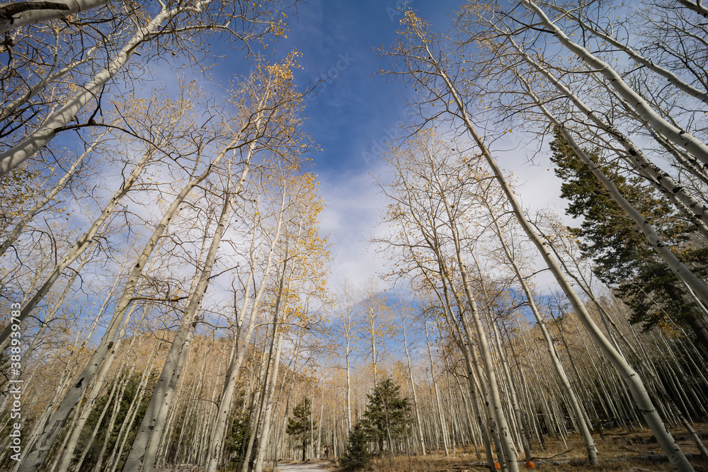 Afternoon view of the beautiful landscape of Inner Basin area Afternoon view of the beautiful landscape of Inner Basin area