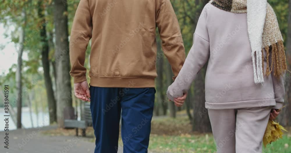 Elderly couple on a walk in a forest Park, autumn day, gray-haired man and a woman walking in a city Park, autumn mood, walking hand in hand, back view.
