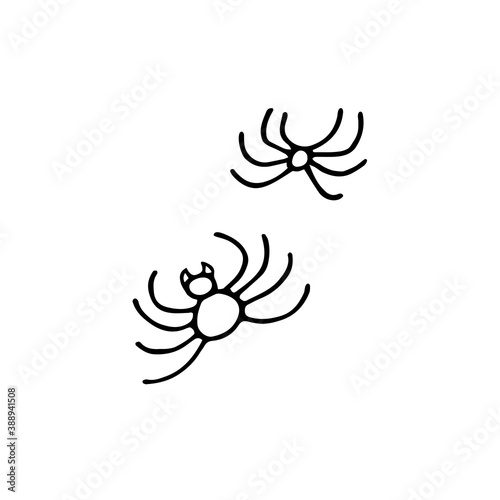 Doodle spider set. Hand drawn black insect isolated on white background. Scary cute sign. Outline vector stock illustration for fall design, happy Halloween, Day of the Dead, web, autumn animal print