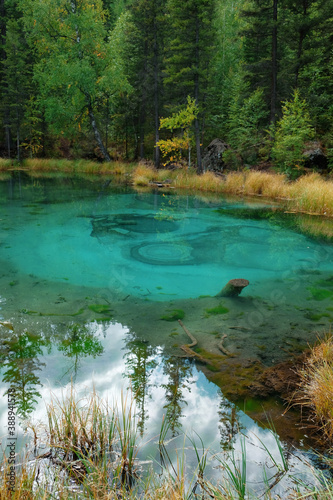 blue lake in which fountains at the bottom color blue circles in the vicinity of the village Aktash  Altai Mountains