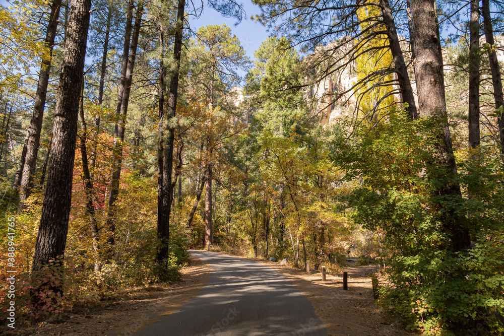 Beautiful fall color around Cave Springs Campground Beautiful fall color around Cave Springs Campground