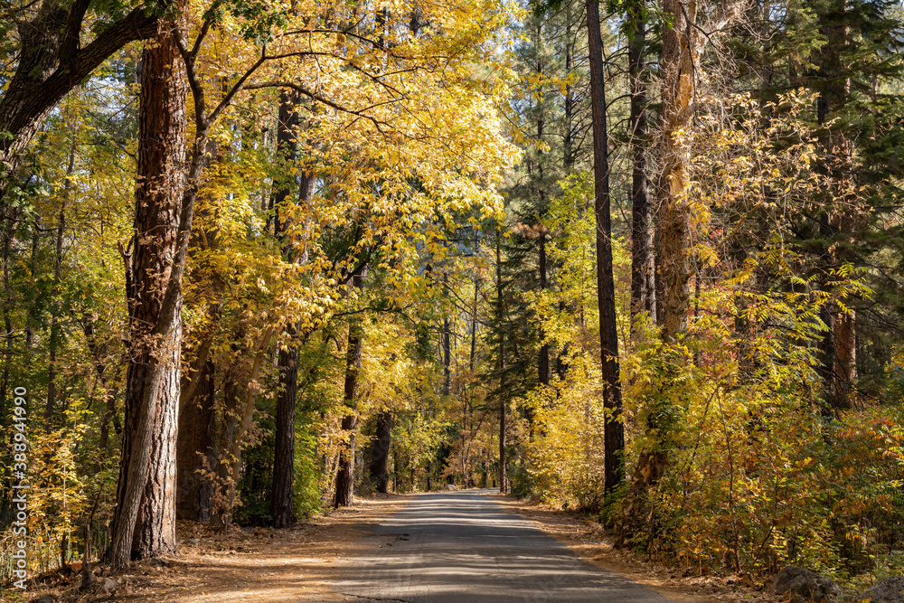 Beautiful fall color around Cave Springs Campground