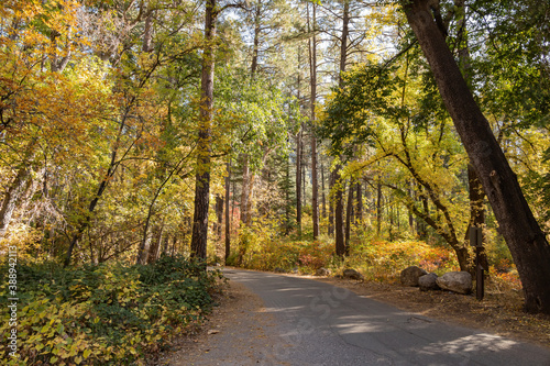 Beautiful fall color around Cave Springs Campground © Kit Leong