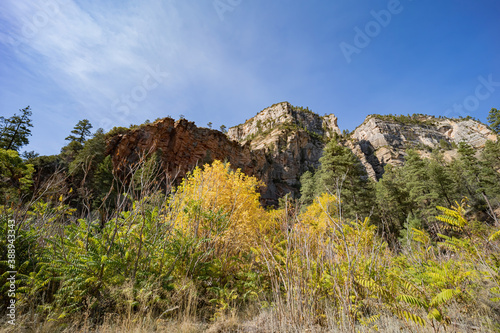 Beautiful fall color around West Fork hiking area