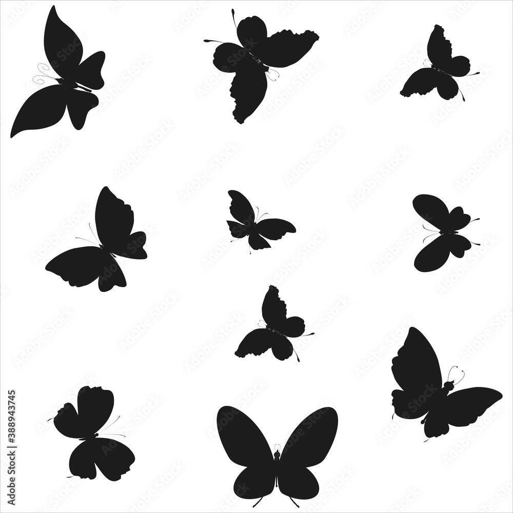 Fototapeta premium 1952