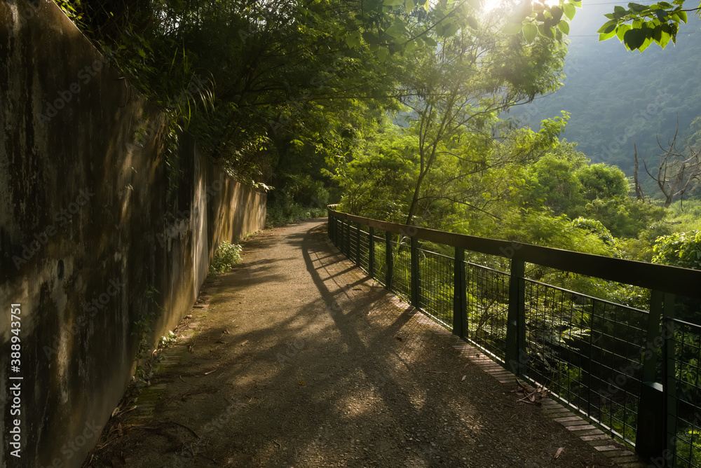 The bicycle lane from Shuili to CheCheng train station at Nantou, Taiwan. Beautiful bicycle lane with trees and sun light on the mountain in the morning.