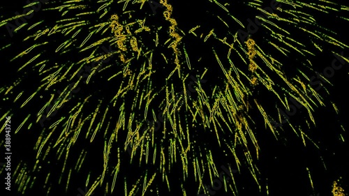 Abstract Background Yellow Fireworks on Black