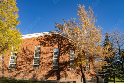 Beautiful fall color around the campus of Northern Arizona University photo