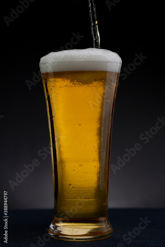 Wallpaper Mural Beer serving action in a studio shot. Torontodigital.ca