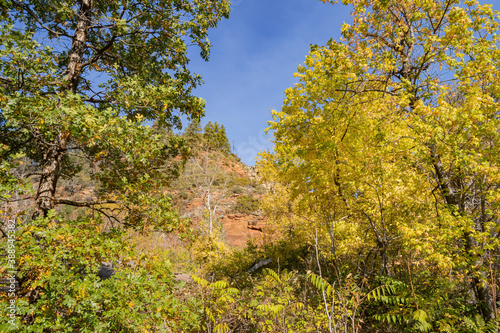 Fototapeta Naklejka Na Ścianę i Meble -  Beautiful fall color around West Fork hiking area