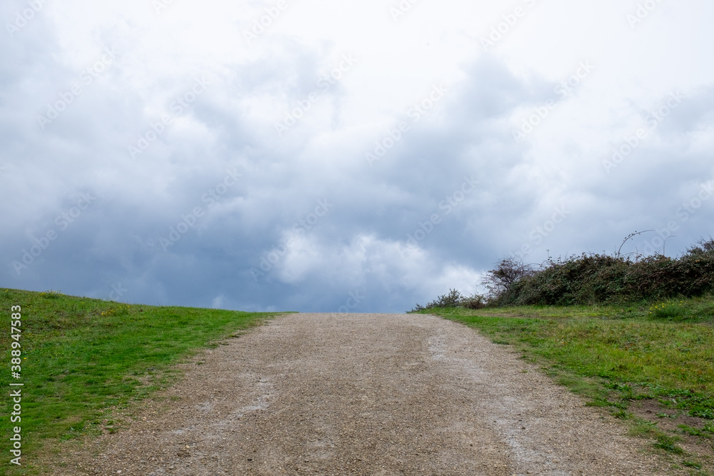 road to the sky at the dunes in The Netherlands 